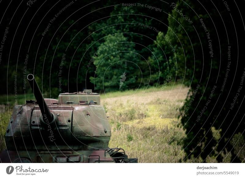 An old defective tank from World War 2 stands in the middle of the forest.  ( Moedlareuth ) ) Armouring Combat Attack Weapon military Defence Munitions Conflict