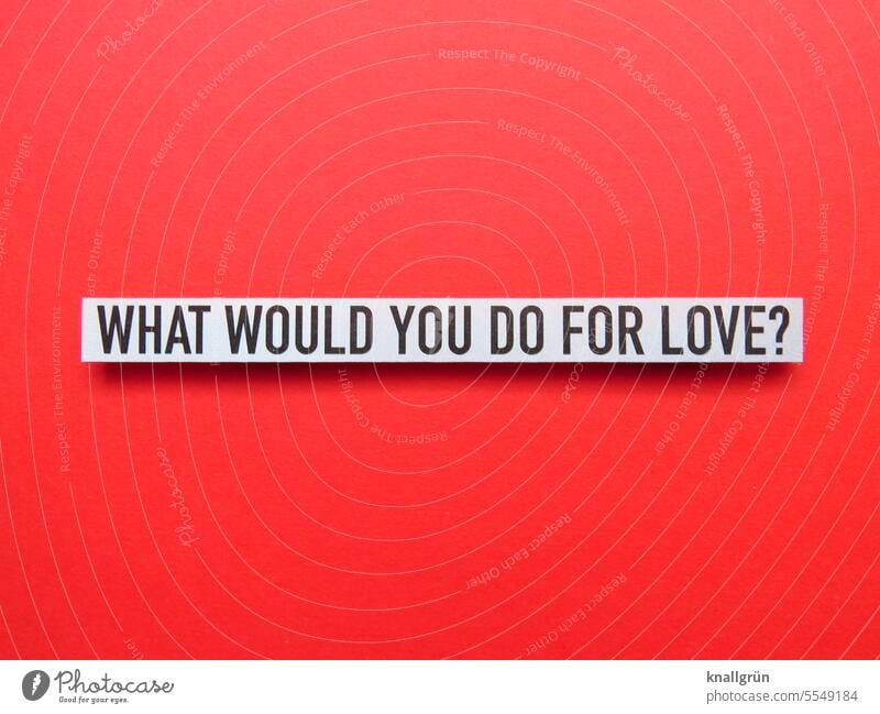 What would you do for Love? Trust Ask Emotions Expectation Together Affiliation Colour photo Relationship Deserted Communicate Characters Neutral Background