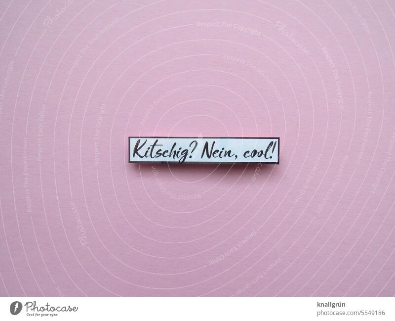 Kitschy? No, cool! Cool Pink Colour photo Close-up Decoration Black White Deserted Isolated Image Neutral Background Studio shot Emotions Signs and labeling