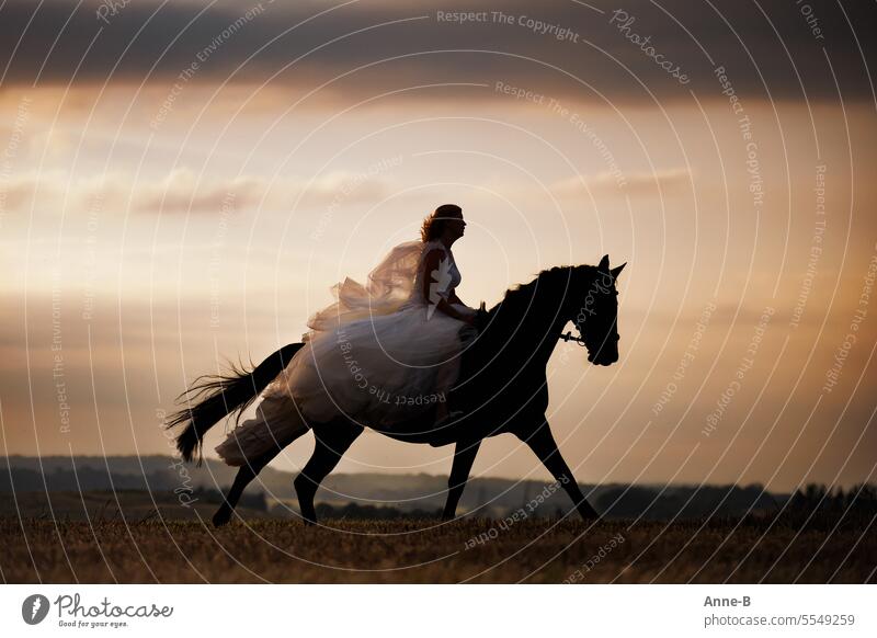 Bride on black horse galloping in the evening Wedding dress riding Black horse Evening last light Vail tempo storm off blowing veil Horsewoman in wedding dress