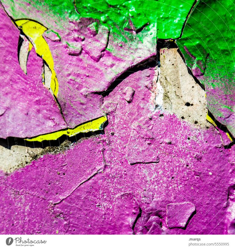 Bright green with purple Green Wall (building) Close-up Decline Flake off Colour Old Varnish Wall (barrier) Structures and shapes Broken Change Transience