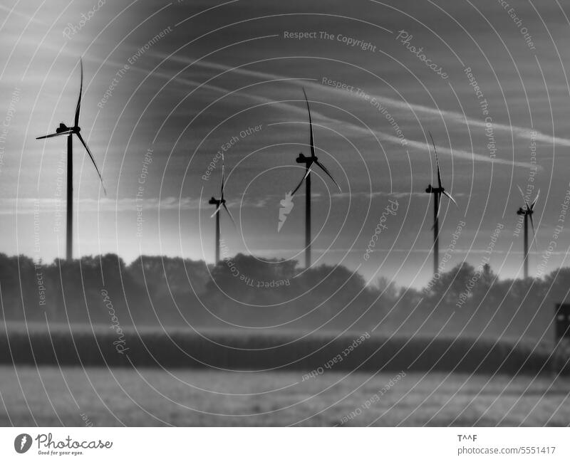 Windkraftanlagen am Waldrand im morgendlichen Nebel mit Kondensstreifen – die Rotorblätter glänzen in der aufgehenden Sonne Energiewende Windenergieanlage Strom