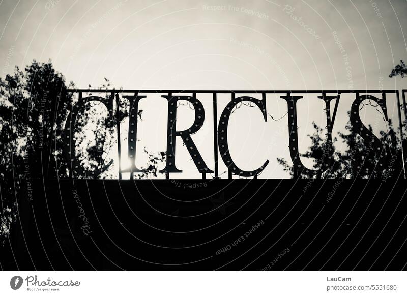 What a circus! Circus entertainment Circus tent Circus ring Acrobatics acrobats Shows Entertainment Event free time Fairs & Carnivals Clown Artist Jugglers