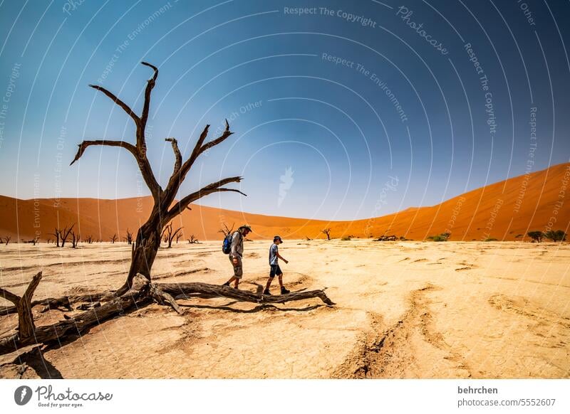 favourite place duene especially travel Impressive dunes sand dune aridity Acacia Cool Cool (slang) Father and son deadvlei trees Dead trees Sky Drought Dry