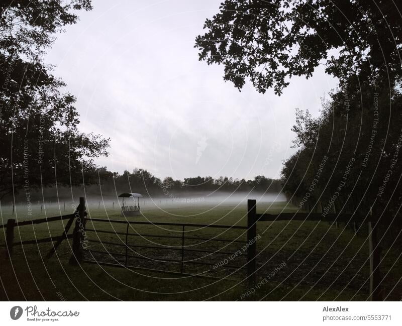 A horse paddock in the evening in the fog with feed manger behind a pasture fence surrounded by trees and bushes Willow tree Horsewise Pasture fence