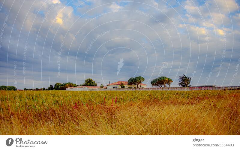 Country house near La Rochelle, France House (Residential Structure) Property Exterior shot Deserted Colour photo Day Nature Garden Architecture Building Rural