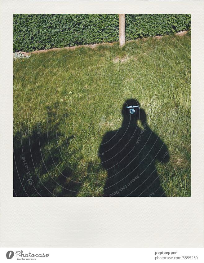 Shadow existence - self portrait in garden selfportrait self-portraits Self portrait Self-portrait Man Photographer Looking into the camera Mirror image Camera