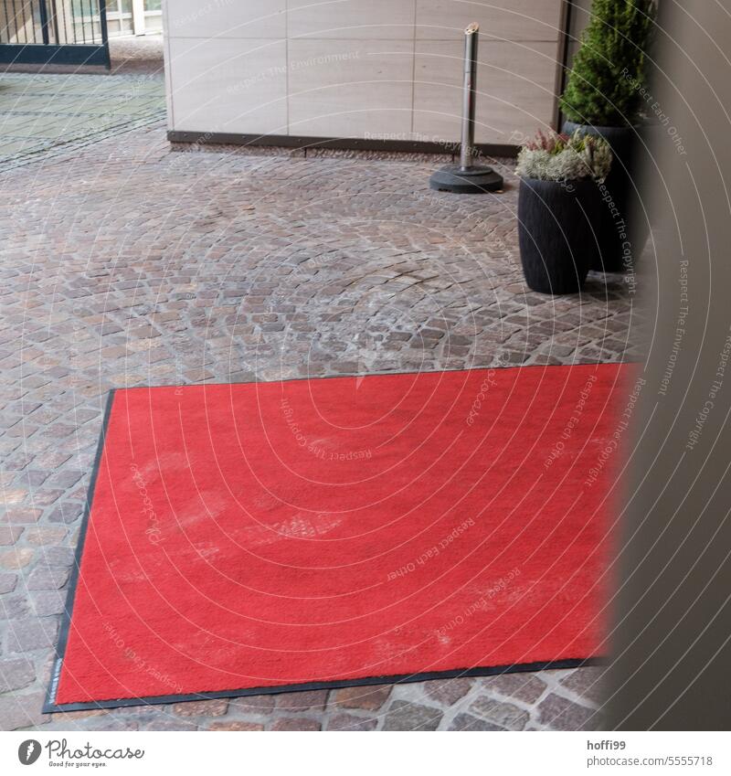 a red carpet with footprints in the entrance area Red carpet Receive Carpet admittance Event Elegant Culture Luxury Premiere Lifestyle Feasts & Celebrations