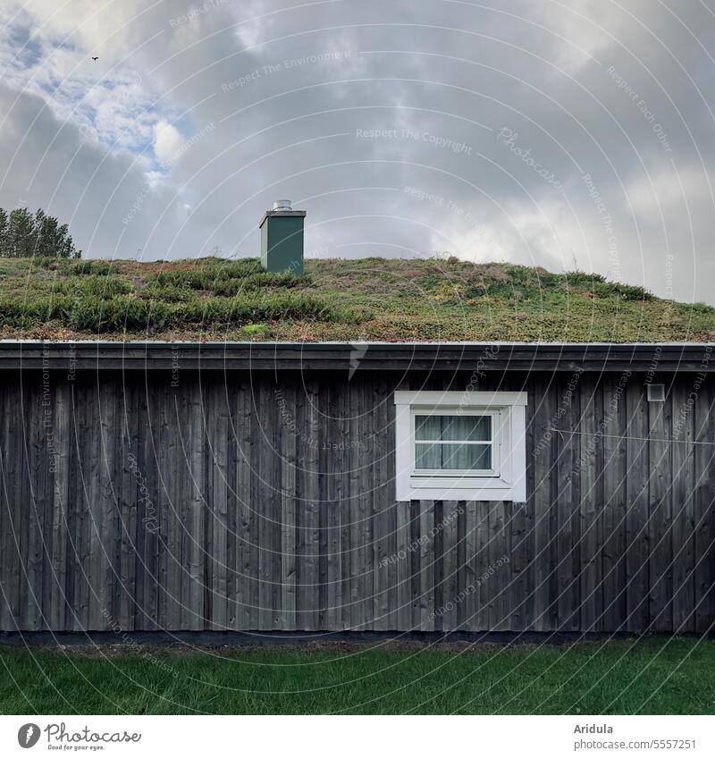 Wooden house with white window and green roof with chimney House (Residential Structure) Passive House Ecological Wooden facade roof greening Roof garden