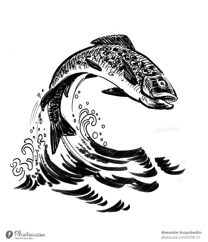 830+ Koi Fish Line Drawing Stock Illustrations, Royalty-Free Vector  Graphics & Clip Art - iStock