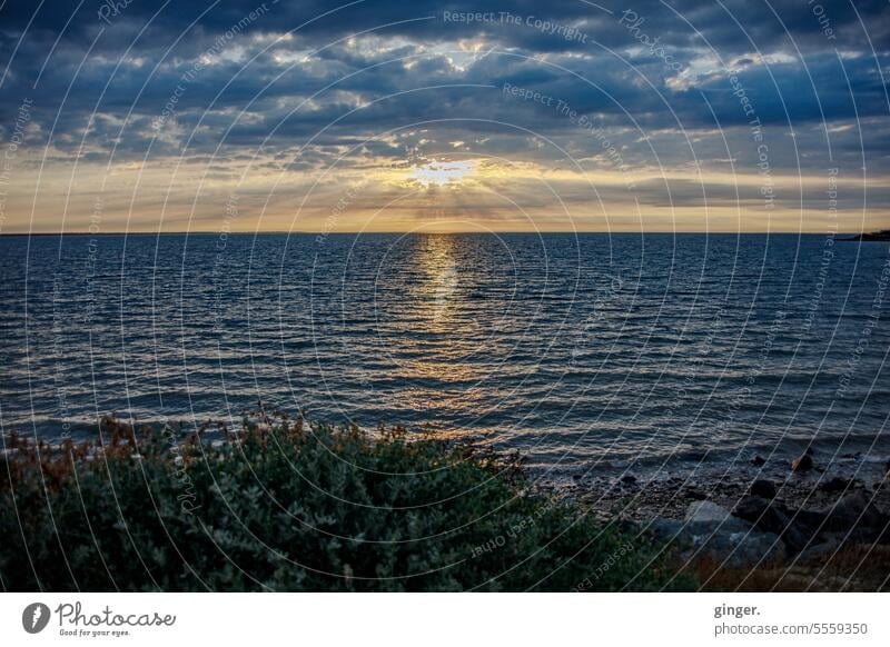 The sun is about to set - in transverse Plant Rock Reflection pretty Twilight Water Sunbeam Sunset Summer Blue Atlantic Ocean Colour photo Yellow Orange Weather