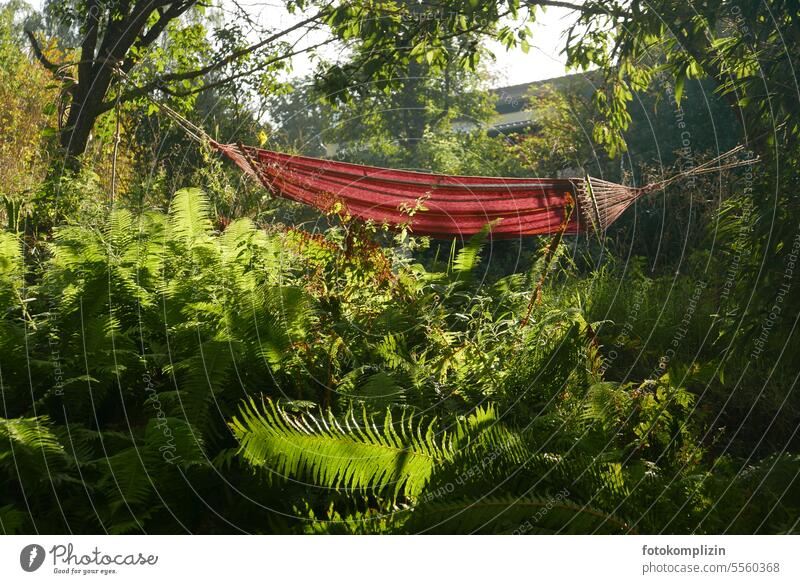 Hammock in the countryside Relaxation Break Hang tranquillity Nature Garden Fern flooded with light Illuminate Light Green relaxation Idyll Stress