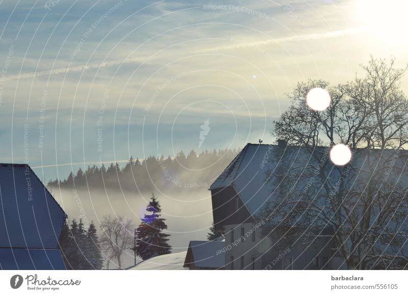 The light leads to the stable Landscape Sky Sunlight Winter Fog Snow Tree Forest Black Forest Black Forest house House (Residential Structure) Agriculture