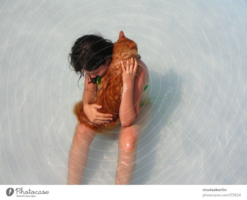 you don't bathe in cats Cat Girl Child Swimming pool Physics Peru leo Water Warmth