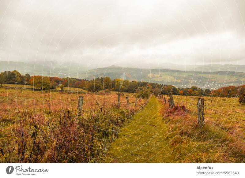 Autumn in the Rhön I Landscape Colour photo Nature Autumnal landscape Autumnal colours Autumn leaves autumn mood Exterior shot Autumnal weather Seasons