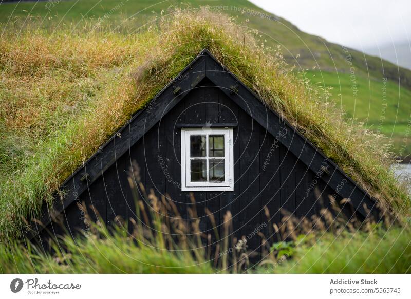 Residential house in grassy countryside building village island nature trip travel road trip exterior faroe islands roadtrip denmark window frame roof tranquil