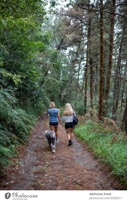 Unrecognizable friends hiking in forest with dog in daylight woman hike activity travel trekking path young nature adventure female way route energy hiker