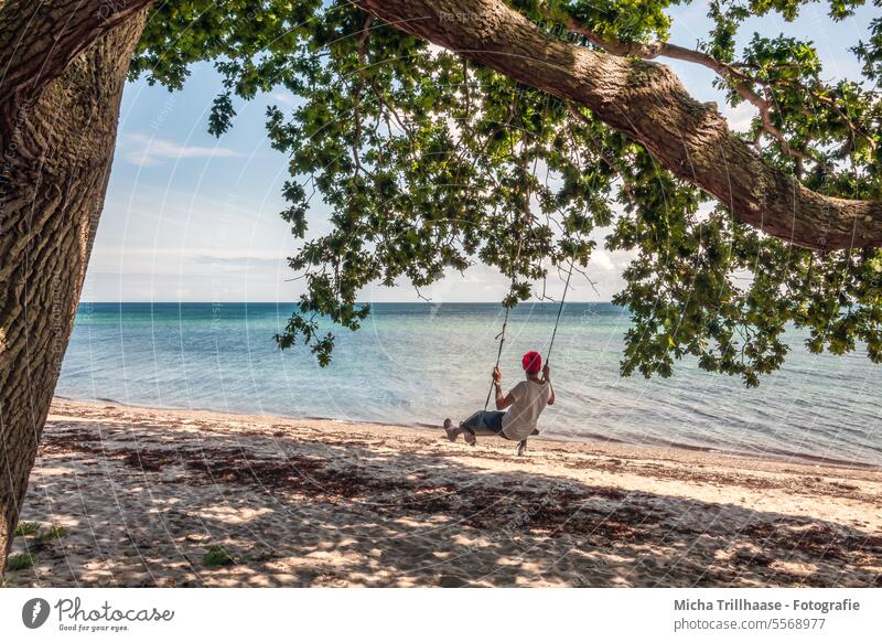 Swings on the beach To swing Woman Beach Baltic Sea Baltic beach Denmark Langeland Ocean coast Tree branches twigs leaves foliage vacation Relaxation travel
