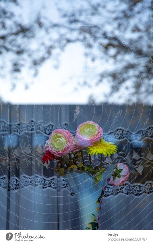 Blooming cut flowers in a vase behind a window Vase Decoration Window Curtain Bouquet Blossom reflection Glass China vase Flower Blossoming