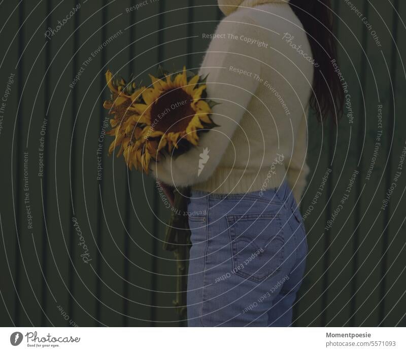 sunflowers Sunflowers Sweater Yellow jeans Pick Love of nature Nature natural beauty Woman feminine Pants buttocks Rear view Green Blue Human being Colour photo