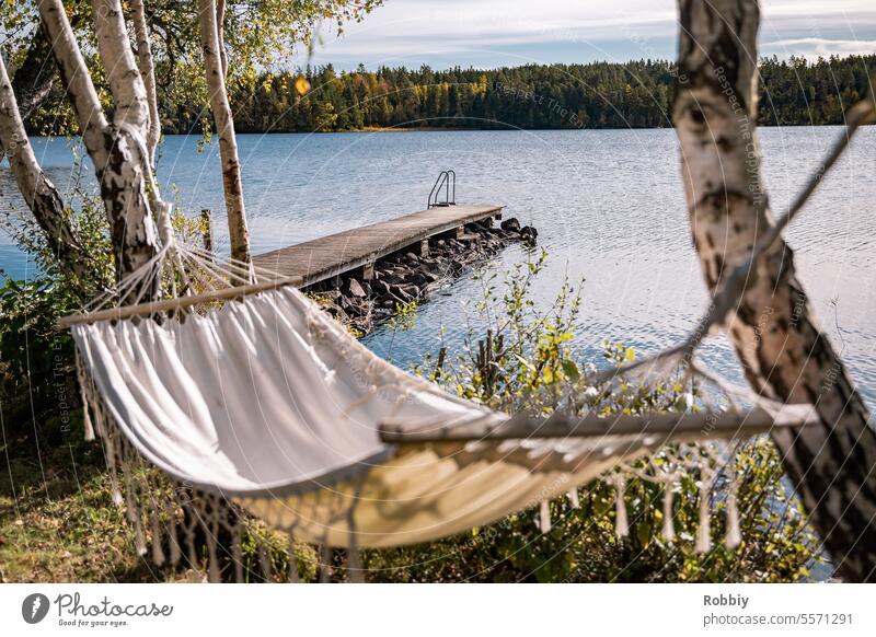 Hammock on a lake with jetty Lake Nature Sun Birch tree idyll Idyll relax bathe Swede relaxation Vacation & Travel Exterior shot Colour photo Water Landscape