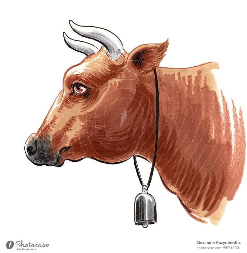 Cow with a bell. Ink and watercolor illustration animal background beef black brown cartoon cattle cow cowbell cute dairy drawing farm female head isolated