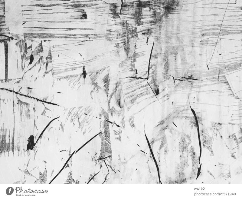 rugged landscape Colour Schlieren cracks Black & white photo Abstract Detail Structures and shapes Deserted Pattern Close-up Exterior shot Ravages of time