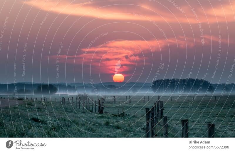 One last one from Teufelsmoor Nature reserve Haze Fence Sun Romance Meditation Fog Ground fog Sunrise Landscape Deserted Environment Exterior shot Sky Light