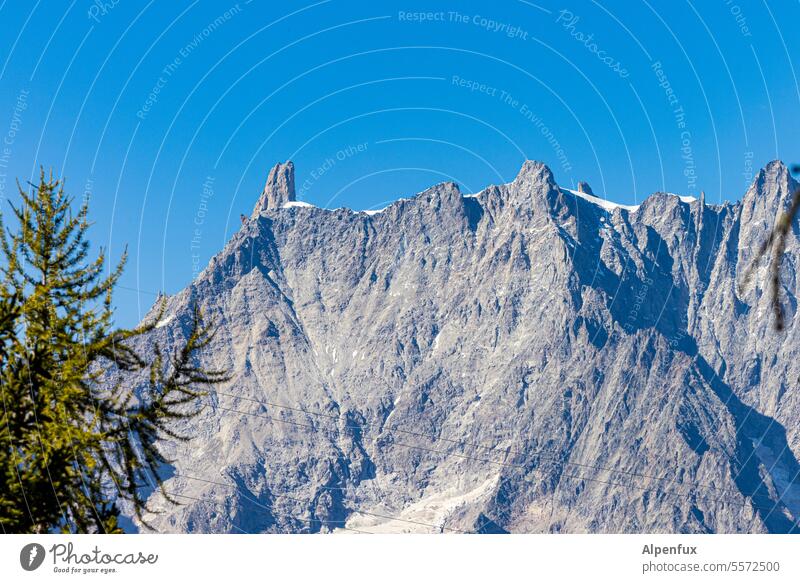 3 x 4000 mountain Mont Blanc massif Mountain Snow Adventure France Ice Italy Peak Alps Glacier Mountaineering Climbing Rock Dent de Geant Tooth of the giant