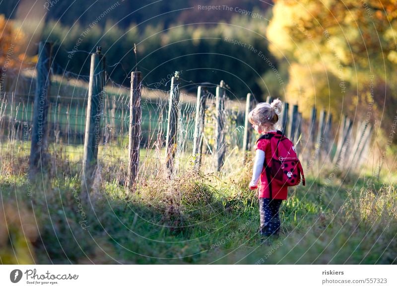 Small Beetle Human being Child Girl Infancy 1 3 - 8 years Environment Nature Autumn Beautiful weather Meadow Forest Relaxation Looking Dream Hiking Free