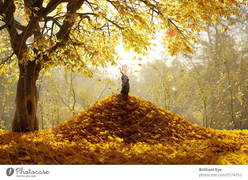 Male hand comes out of a pile of leaves. Concept fall fun Accident on one's own Autumn Heap foliage Yellow Bright concept Covered peril Dig Soft Hand Help