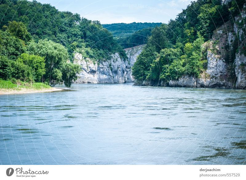 Danube -breakthrough: The Danube flows through a narrowness. Right and left high rocks with trees. Environment Landscape Water Clouds Summer Beautiful weather