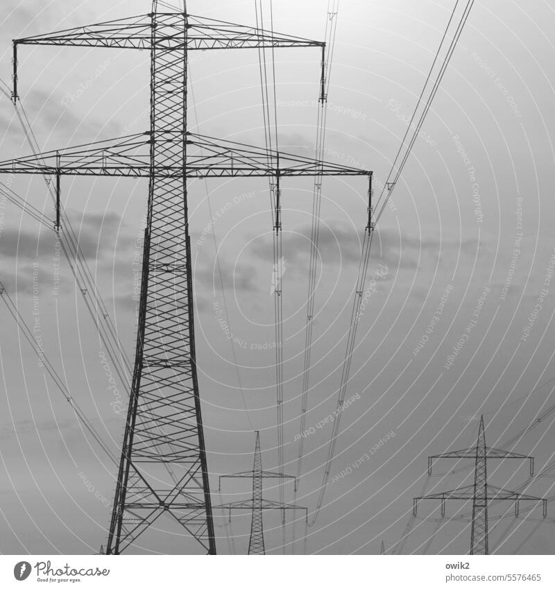 line Power transmission High voltage power line Electricity pylon Technology Future Cable Stand Sign Dependability Unwavering Energy industry Construction Steel