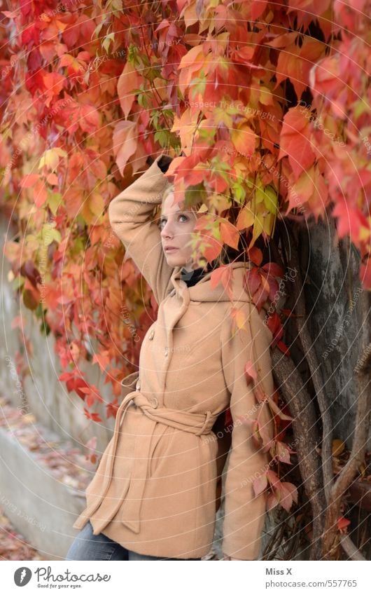 Red wine Human being Feminine Young woman Youth (Young adults) Woman Adults 1 18 - 30 years Autumn Bushes Ivy Leaf Fashion Jacket Coat Blonde Beautiful