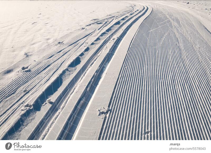cross-country skiing trail Snow Cross-country ski trail Cold Sports Winter Winter sports Cross country skiing Skiing Landscape Relaxation Sunlight