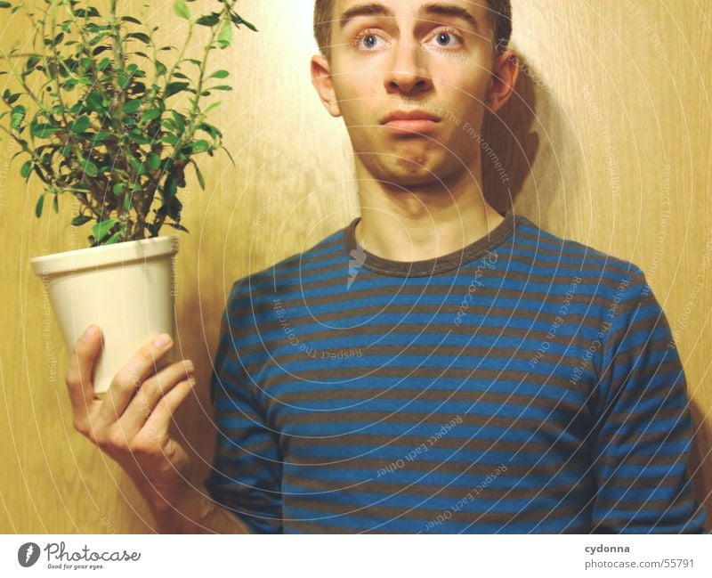 Human Child VIII Man Portrait photograph Style Wall (building) Wood Hand Posture Sweater Absurdity Camouflage Plant Foliage plant Flowerpot Light Human being