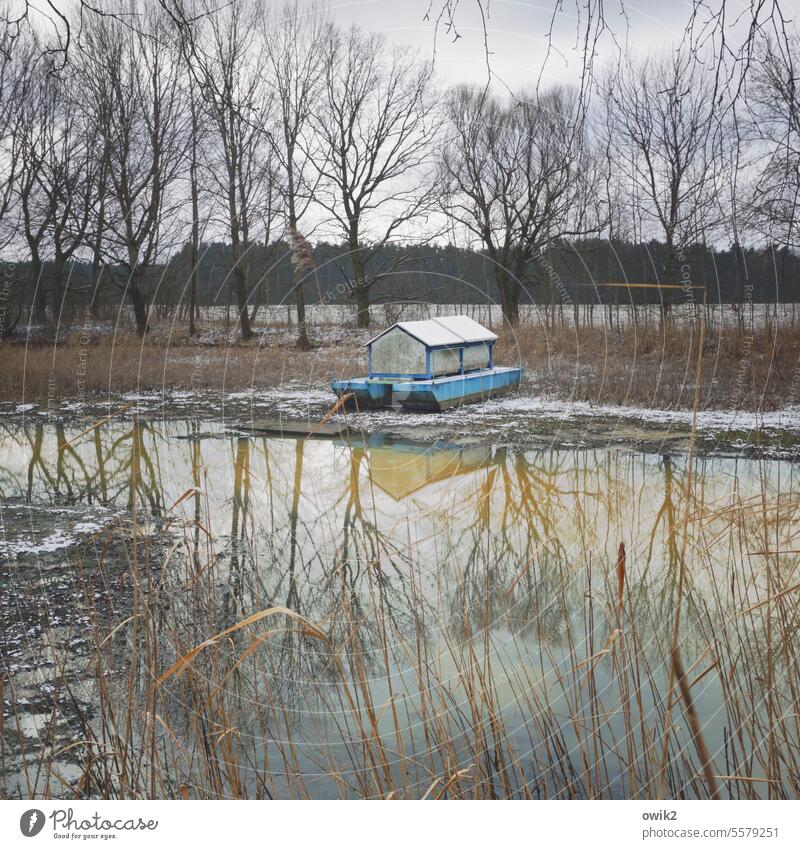 Eating machine Fish food store Fish breeding Birdhouse be afloat grounded Sandbank Lake Fishpond Exterior shot Colour photo Nature Pond trees Water Deserted