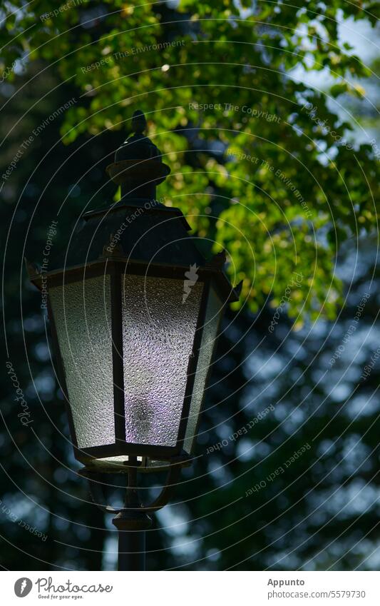 Old-fashioned street lamp at dusk, green foliage and trees out of focus in the background Street light streetlamp Dusk evening light evening mood Black Green