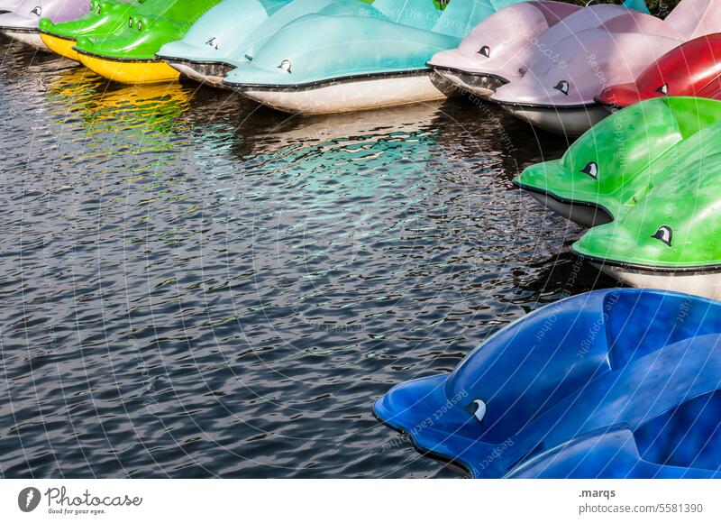 Colorful dolphins plastic Head Dolphin go boating boats Boating trip Vacation & Travel Lake variegated boat hire Plastic Pedalo Jetty Chained up Watercraft