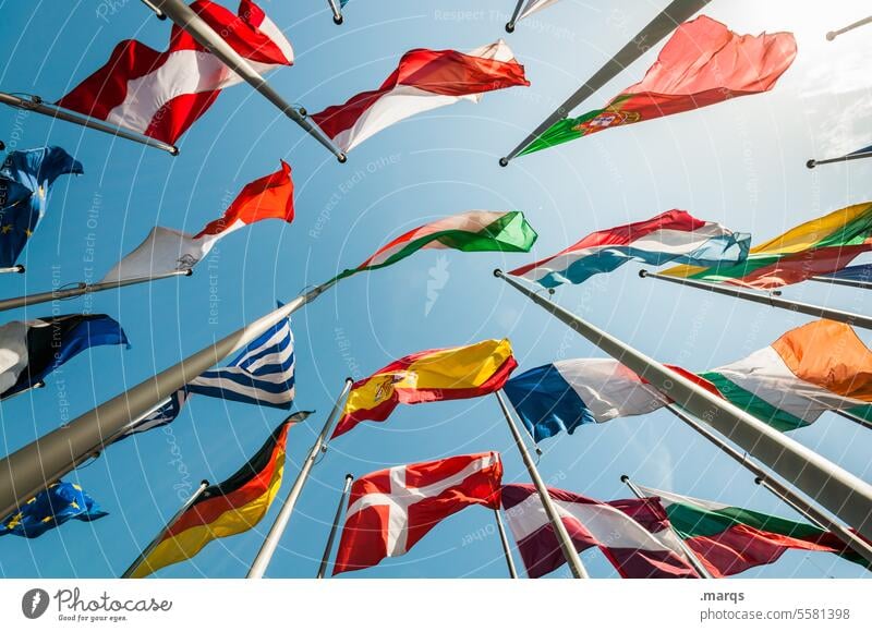 flags Europe Politics and state Flag Worm's-eye view Cloudless sky Sign International Global Flagpole Freedom Many Economy Italy Estonia European Union Ensign