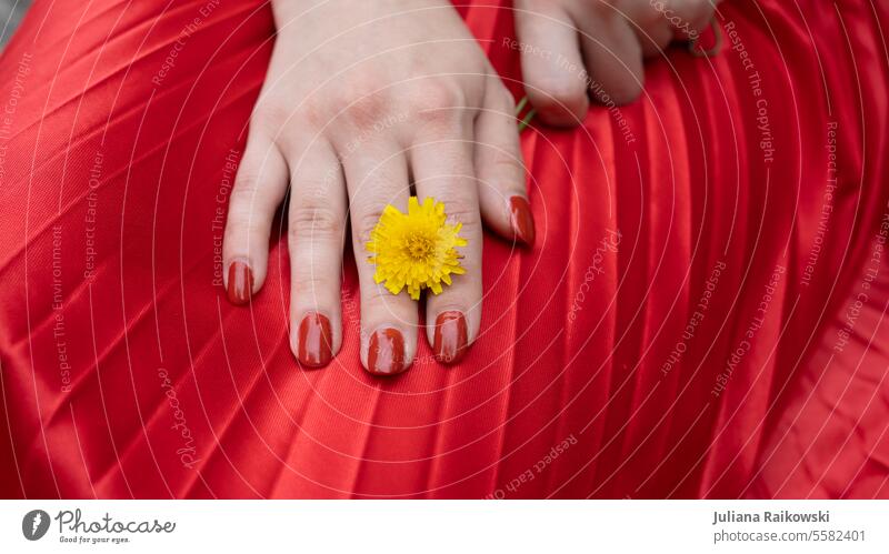 Hand with dandelion on red fabric Flower Nature Blossom Summer Yellow Exterior shot Spring pretty hands Manicure Groomed Detail naturally Spring fever Woman Red