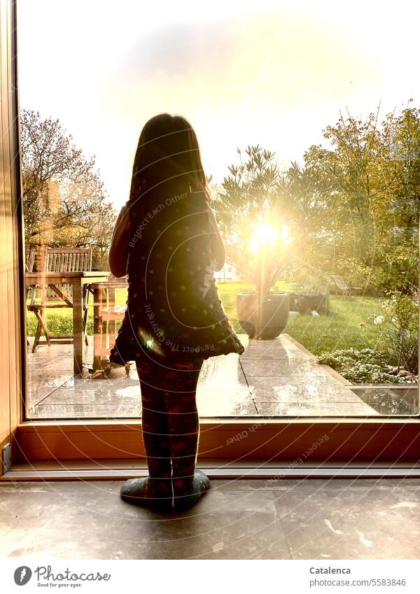 Warming golden sunlight on a wet November day Girl Terrace Window Stand look plants Wet Observe Outdoor furniture Sun Sunbeam Dress Green Brown