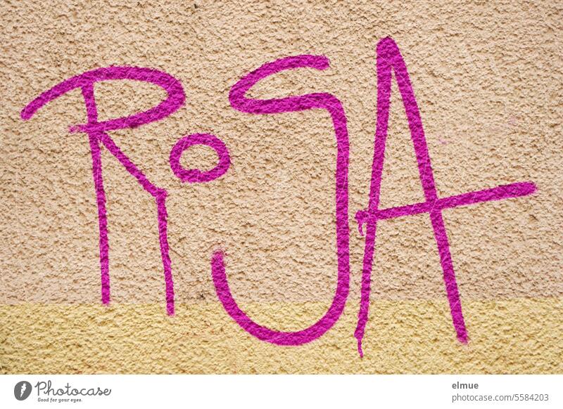 ROSA stands in pink / pink on a beige-colored house wall Pink Colour Graffiti Art writing Street art Design Lifestyle Creativity Youth culture Blog Trashy