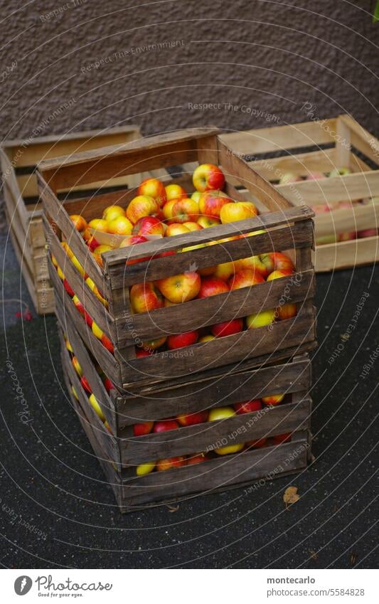 Access Vegan diet Lake Constance apple Wooden box apples vegan Apple harvest appetizing Red naturally Environment cute Harvest Juicy Delicious Fresh Nature Food