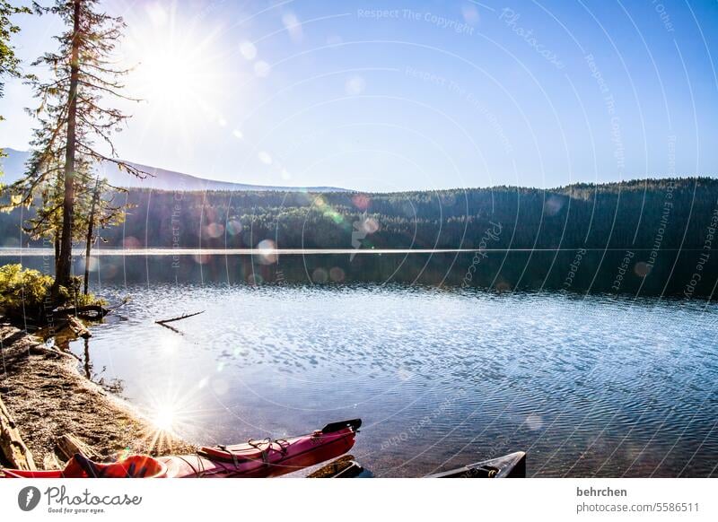 The lake rests still North America Water Plant Nature Lake Canada boat Clearwater Lake Forest Far-off places Landscape Wanderlust mountain lake British Columbia