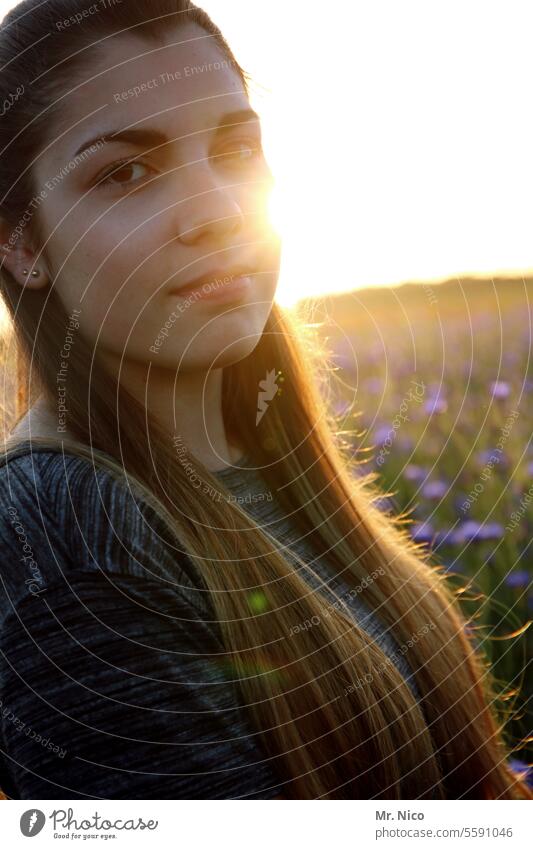 warming | evening sun Sunset Summer Nature Environment Happy Summer evening Sunbeam Sunlight Warmth Warm light Evening sun Summer's day Field Flower meadow