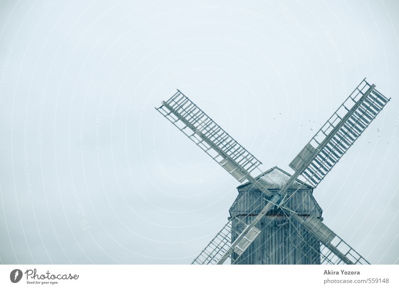 refrigeration mill House (Residential Structure) Building Tourist Attraction Stand Sharp-edged Cold Blue Brown Gray Endurance Loneliness Stagnating Windmill