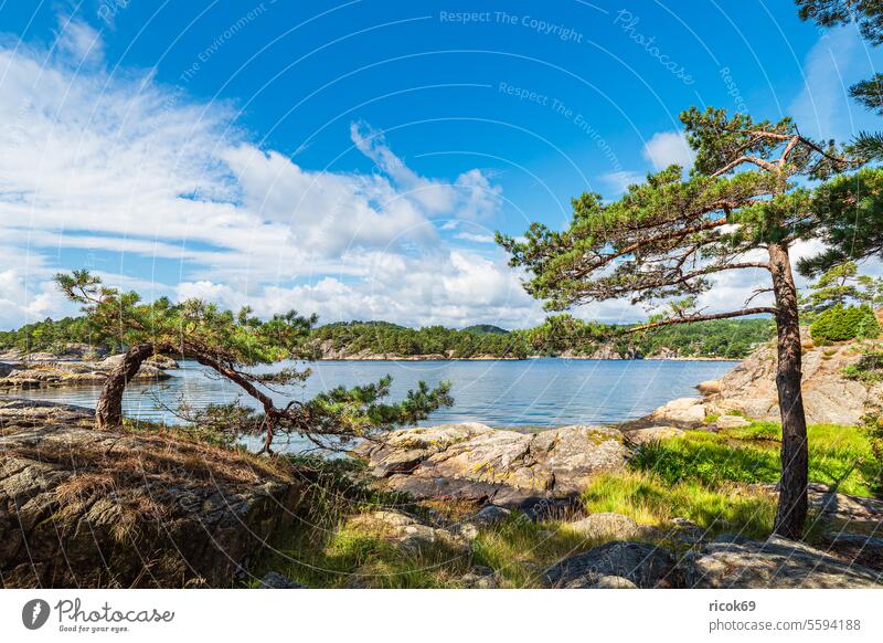 Landscape on the Riveneset peninsula in Norway Ocean coast North Sea Skagerrak Peninsula archipelago archipelago garden archipelago island Rock Summer Water