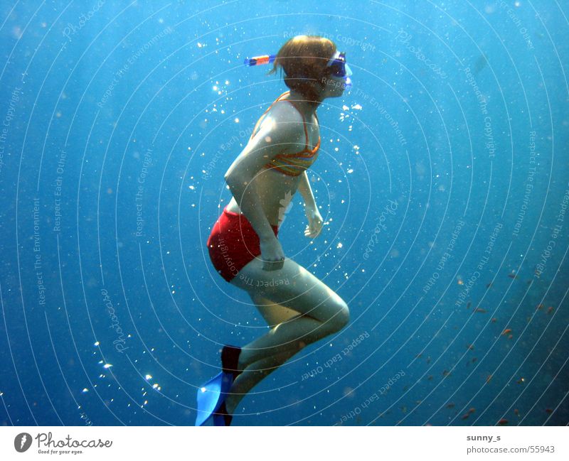dive Dive Snorkeling Underwater photo Water wings