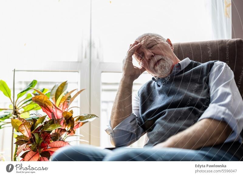 Senior man sleeping in an armchair at home real people senior senior adult mature male Caucasian elderly house old aging domestic life grandfather pensioner